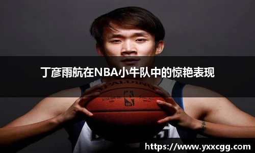丁彦雨航在NBA小牛队中的惊艳表现